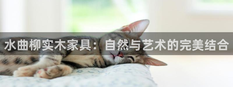 12月安信推荐