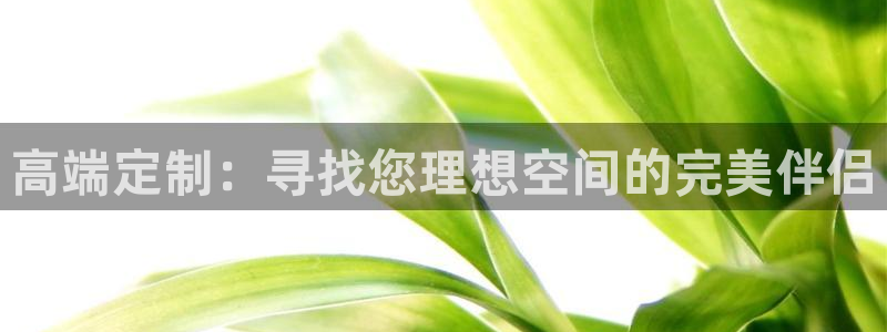 信安杯12