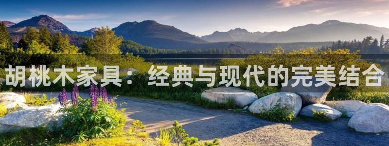 安信12娱乐