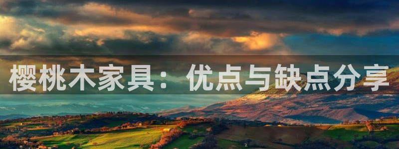 安信12周年庆典