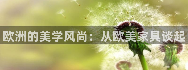 安信12负责人