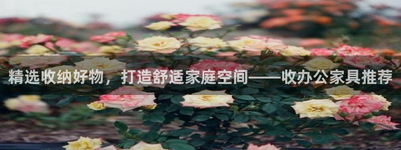 安信12娱乐招商