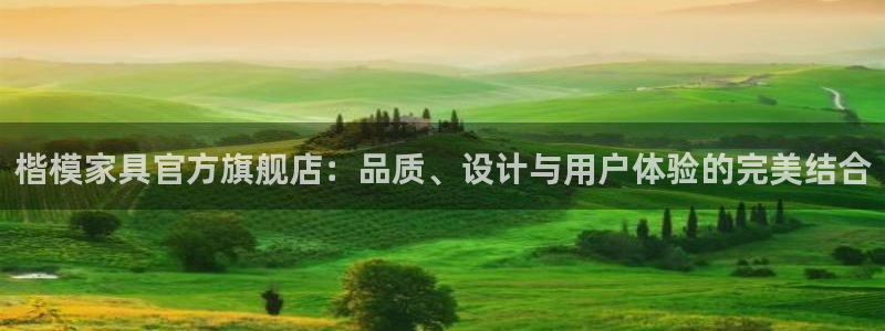 安信12是什么平台