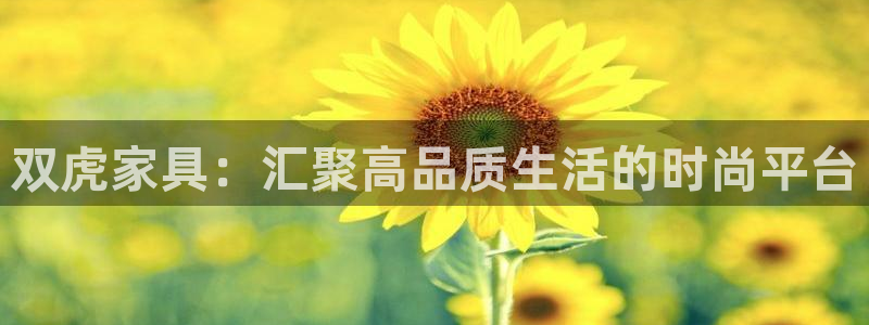 安信安赢12号