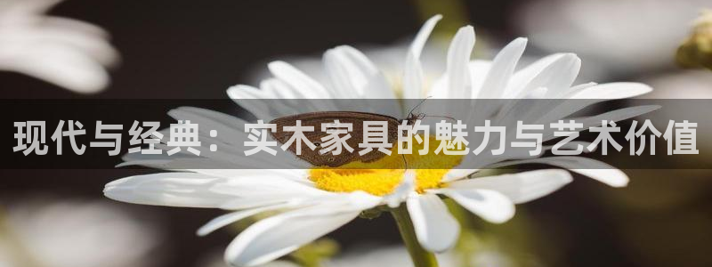 12月安信推荐