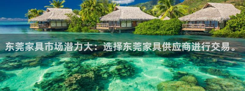 安信12是什么