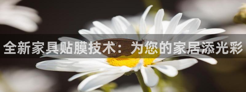安信12是啥