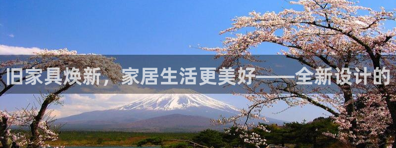 安信可12f