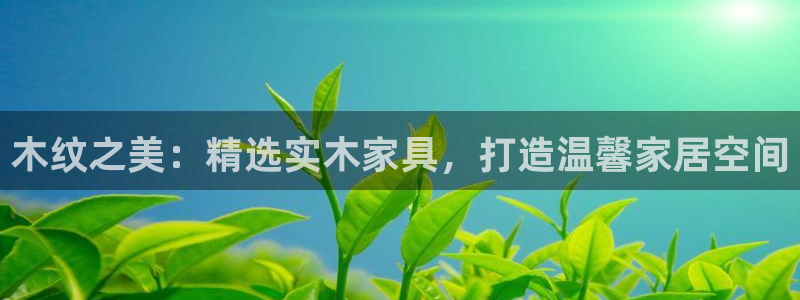 安信12娱乐