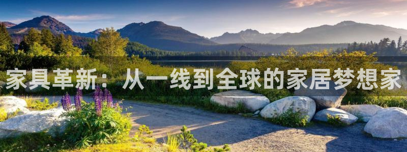 安信安盈12最新消息