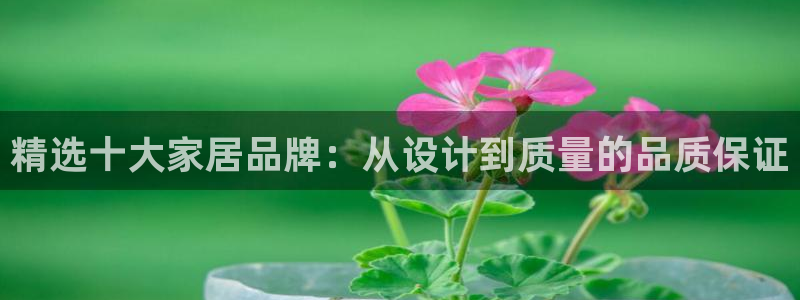 如何注销安信12软件