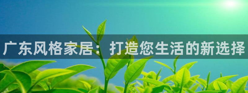 安信12代理