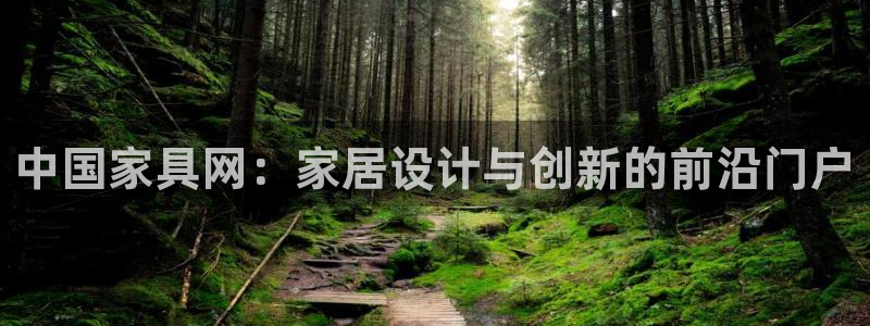 安信12月金股