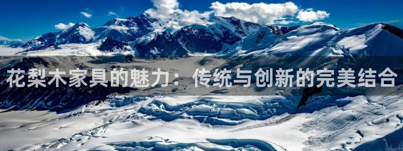 安信证券手机壳12