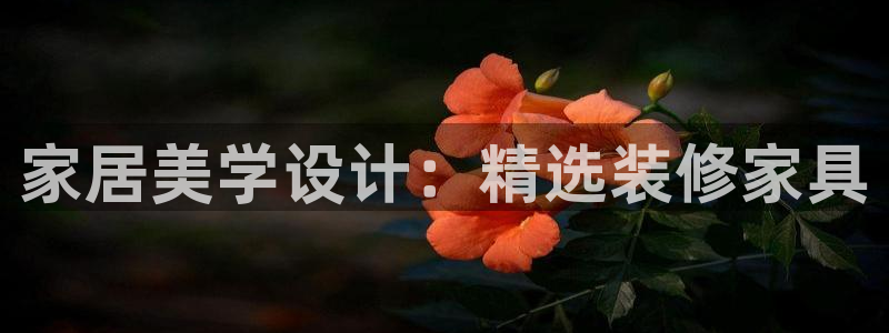 安信12周年