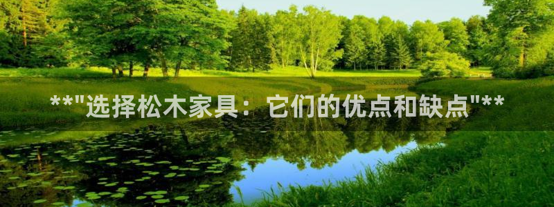 安信12是正规还是仿