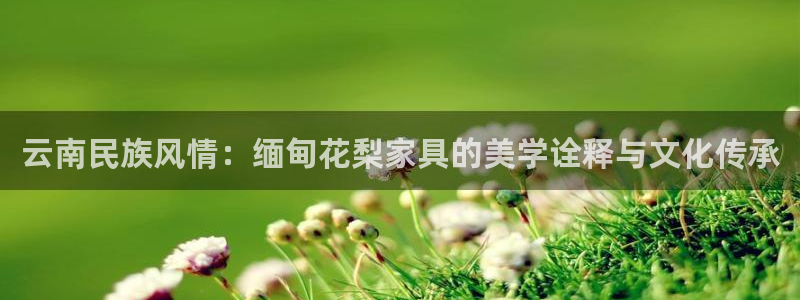 安信12赛车