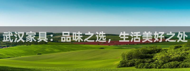 安信12是什么