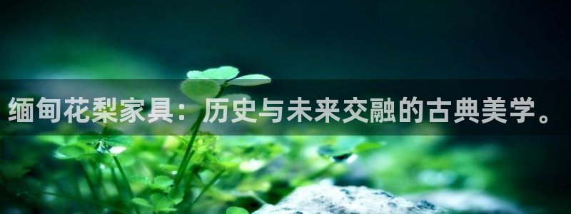 安信卓越12月
