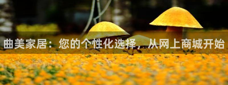 安信安翼 12账号