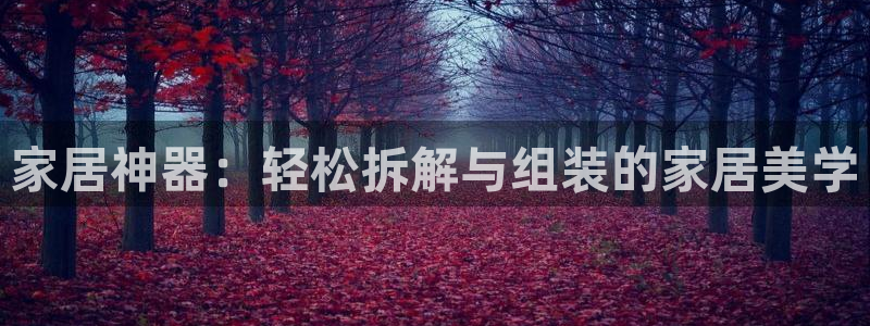 安信12网页版