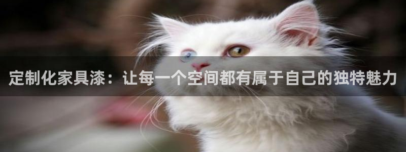 安信12级：定制化家具漆：让每一个空间都有属于自己的独特魅力